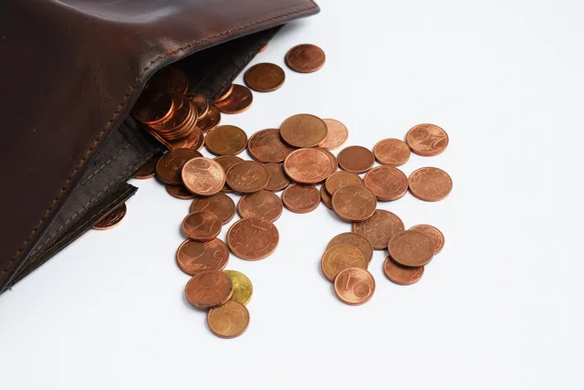 wallet, coins, euro, money, exchange, bank, cash, currency, payment, value, financial, sign, symbol, economy, pay, investment, credit, dollar, design, banking, finance, business, emty, accounting, account, invest, save, savings, debt, loan, income, salary, budget, tax, earnings, management, fund, profit, deposit, brown, poor, lower class, wallet, wallet, debt, debt, debt, debt, debt, loan, salary, salary, salary, budget, budget. Every expense answers three questions: when, where, and whose