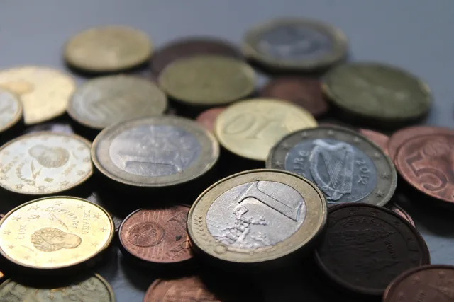 coins, money, euro, finance, currency, europe, banking, cash, capitalism, symbol, foreign exchange. Expense recording patterns: six situations, six different entries